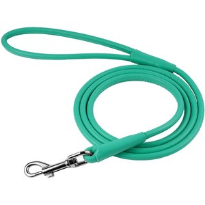 CollarDirect Rolled Leather Dog Leash, Mint Green, Large: 6-ft long, 3/8-in wide