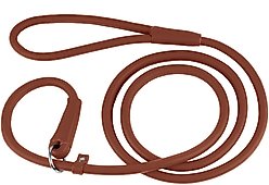 CollarDirect Rolled Leather Dog Slip Lead, Brown, Large: 6-ft long, 3/8-in wide