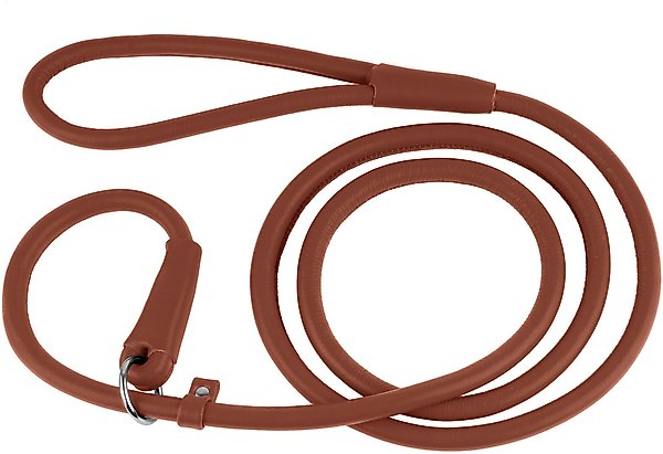 CollarDirect Rolled Leather Dog Slip Lead, Brown, Large: 6-ft long, 3/8-in wide slide 1 of 3