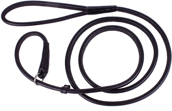 CollarDirect Rolled Leather Dog Slip Lead, Black, Large: 6-ft long, 3/8-in wide slide 1 of 3