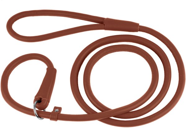 CollarDirect Rolled Leather Dog Slip Lead, Brown, Small: 6-ft long, 5/16-in wide slide 1 of 3