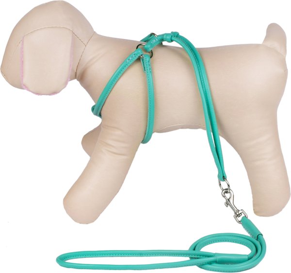 Chewy Harness & Leash