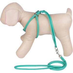 CollarDirect Rolled Leather Step In Back Clip Dog Harness & Leash, Mint Green, X-Small: 11 to 16-in chest