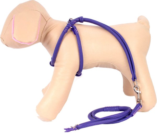 CollarDirect Rolled Leather Step In Back Clip Dog Harness & Leash, Purple, Small: 15 to 25-in chest slide 1 of 3