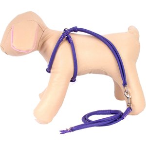 CollarDirect Rolled Leather Step In Back Clip Dog Harness & Leash, Purple, X-Small: 11 to 16-in chest