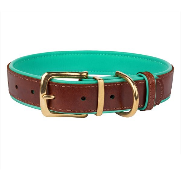 COLLARDIRECT Soft Padded Leather Dog Collar, Mint Green, Small