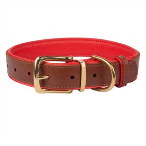 CollarDirect Soft Padded Leather Dog Collar, Red, Medium