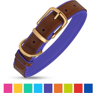 CollarDirect Soft Padded Leather Dog Collar, Purple, Large