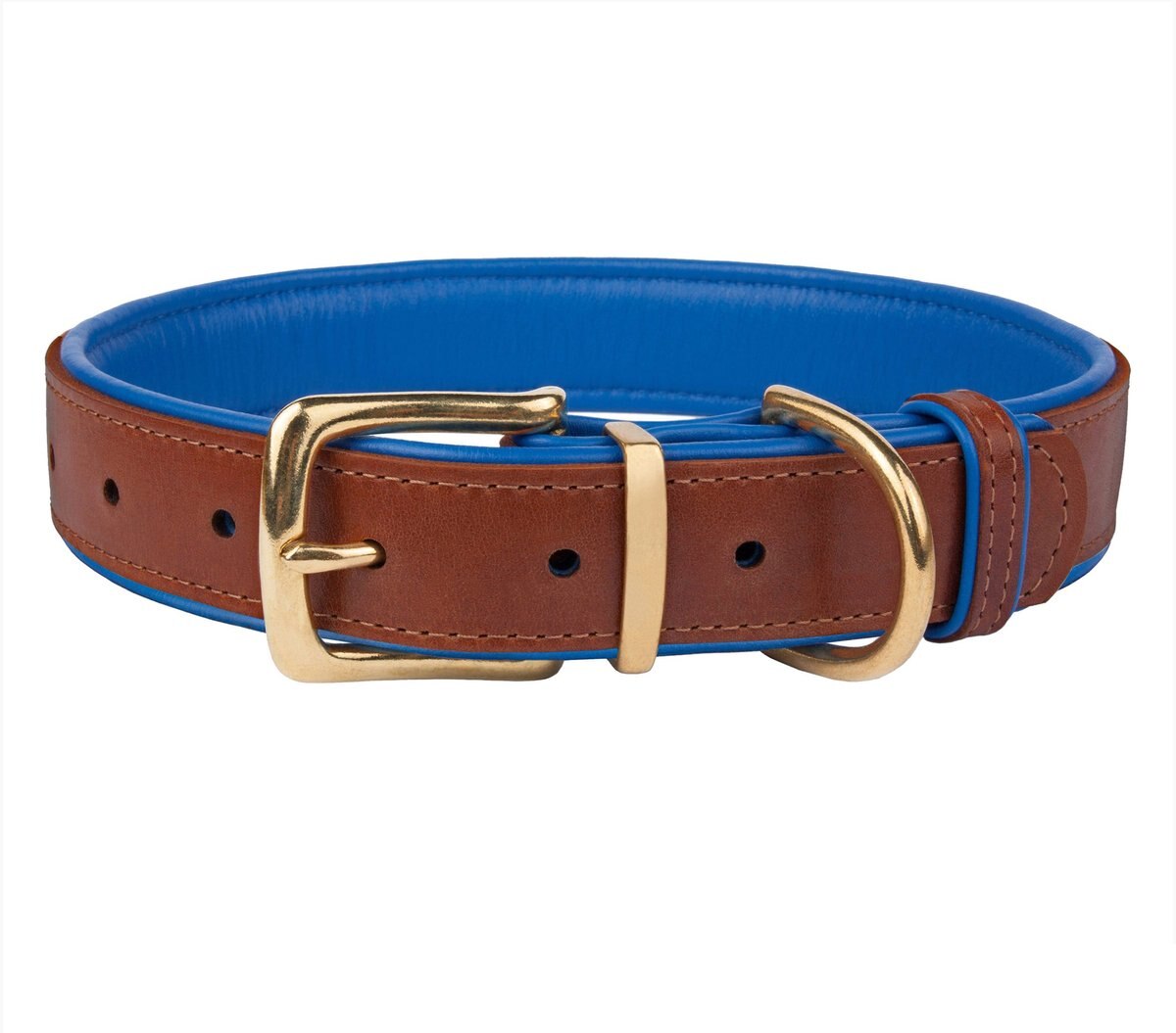 COLLARDIRECT Soft Padded Leather Dog Collar, Navy Blue, Medium