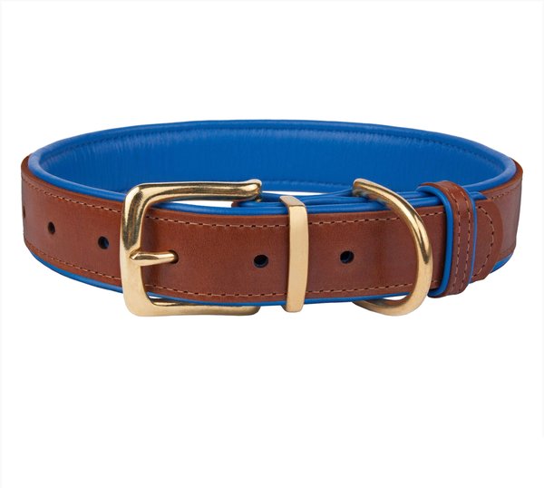 COLLARDIRECT Soft Padded Leather Dog Collar, Navy Blue, Large - Chewy.com