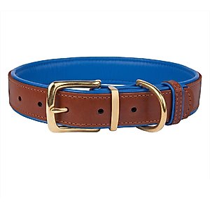 CollarDirect Soft Padded Leather Dog Collar, Navy Blue, Large