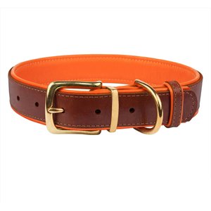 CollarDirect Soft Padded Leather Dog Collar, Orange, Small