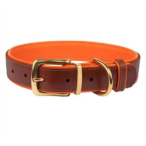 CollarDirect Soft Padded Leather Dog Collar, Orange, X-Large