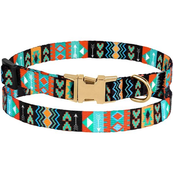 Frisco Aztec Dog Leash