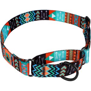 CollarDirect Tribal Aztec Nylon Martingale Dog Collar, Pattern 2, X-Large: 23 to 30-in neck, 1.5-in wide