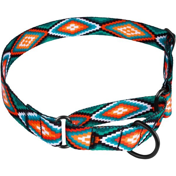 FRISCO Solid Nylon Martingale Dog Collar with Buckle, Blue, Small 14