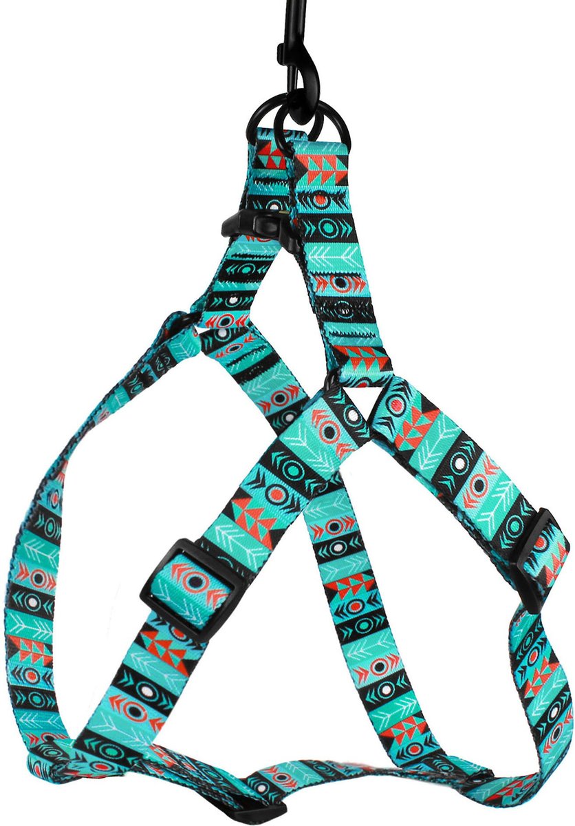 CollarDirect Rolled Leather Step In Back Clip Dog Harness & Leash