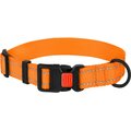CollarDirect Adjustable Reflective Nylon Dog Collar, Orange, Small
