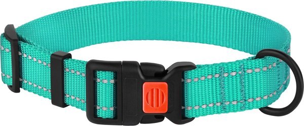 COLLARDIRECT Adjustable Reflective Nylon Dog Collar, Mint Green, Medium