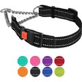 CollarDirect Nylon Reflective Martingale Dog Collar, Black, Small: 12 to 15-in neck, 5/8-in wide