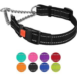 CollarDirect Nylon Reflective Martingale Dog Collar, Black, Small: 12 to 15-in neck, 5/8-in wide