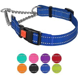 CollarDirect Nylon Reflective Martingale Dog Collar, Blue, Small: 12 to 15-in neck, 5/8-in wide