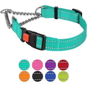 CollarDirect Nylon Reflective Martingale Dog Collar, Mint Green, Medium: 14 to 17-in neck, 3/4-in wide