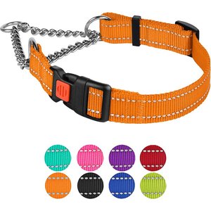 CollarDirect Nylon Reflective Martingale Dog Collar, Orange, Small: 12 to 15-in neck, 5/8-in wide