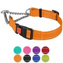 CollarDirect Nylon Reflective Martingale Dog Collar, Orange, Medium: 14 to 17-in neck, 3/4-in wide