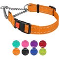 CollarDirect Nylon Reflective Martingale Dog Collar, Orange, Large: 17 to 22-in neck, 1-in wide