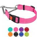 CollarDirect Nylon Reflective Martingale Dog Collar, Pink, Large: 16 to 21-in neck, 1-in wide