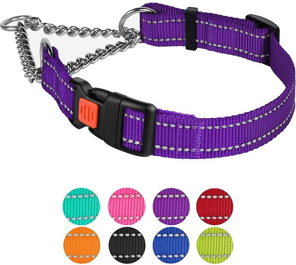 CollarDirect Nylon Reflective Martingale Dog Collar, Purple, Medium: 14 to 17-in neck, 3/4-in wide slide 1 of 8