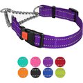 CollarDirect Nylon Reflective Martingale Dog Collar, Purple, Large: 17 to 22-in neck, 1-in wide