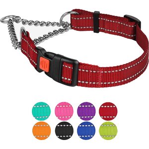 CollarDirect Nylon Reflective Martingale Dog Collar, Red, Small: 12 to 15-in neck, 5/8-in wide