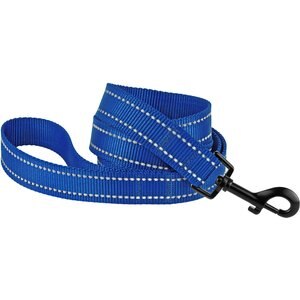 CollarDirect Reflective Nylon Dog Leash, 5-ft, Blue, Large