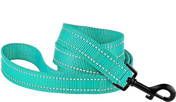 CollarDirect Reflective Nylon Dog Leash, 5-ft, Mint Green, Medium slide 1 of 5