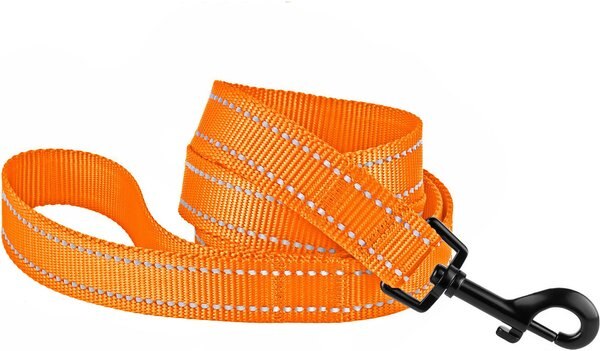 CollarDirect Reflective Nylon Dog Leash, 5-ft, Orange, Small slide 1 of 5