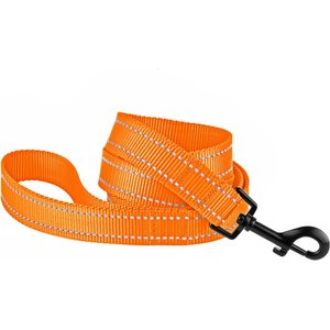 CollarDirect Reflective Nylon Dog Leash, 5-ft, Orange, Medium