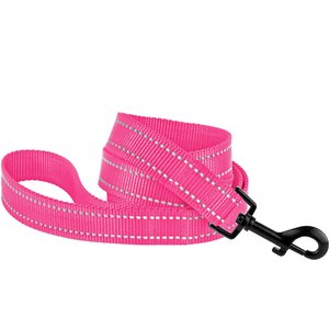 CollarDirect Reflective Nylon Dog Leash, 5-ft, Pink, Large