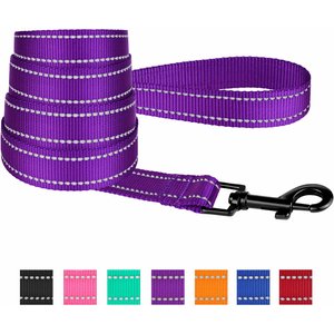 CollarDirect Reflective Nylon Dog Leash, 5-ft, Purple, Medium