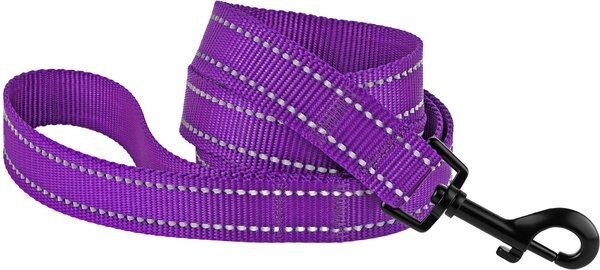 CollarDirect Reflective Nylon Dog Leash, 5-ft, Purple, Large slide 1 of 5