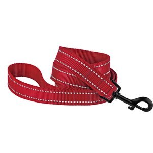 CollarDirect Reflective Nylon Dog Leash, 5-ft, Red, Medium