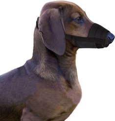 CollarDirect Adjustable Nylon Dog Muzzle Set, Black, Small