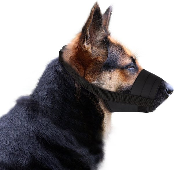 Dog muzzle chewy best sale