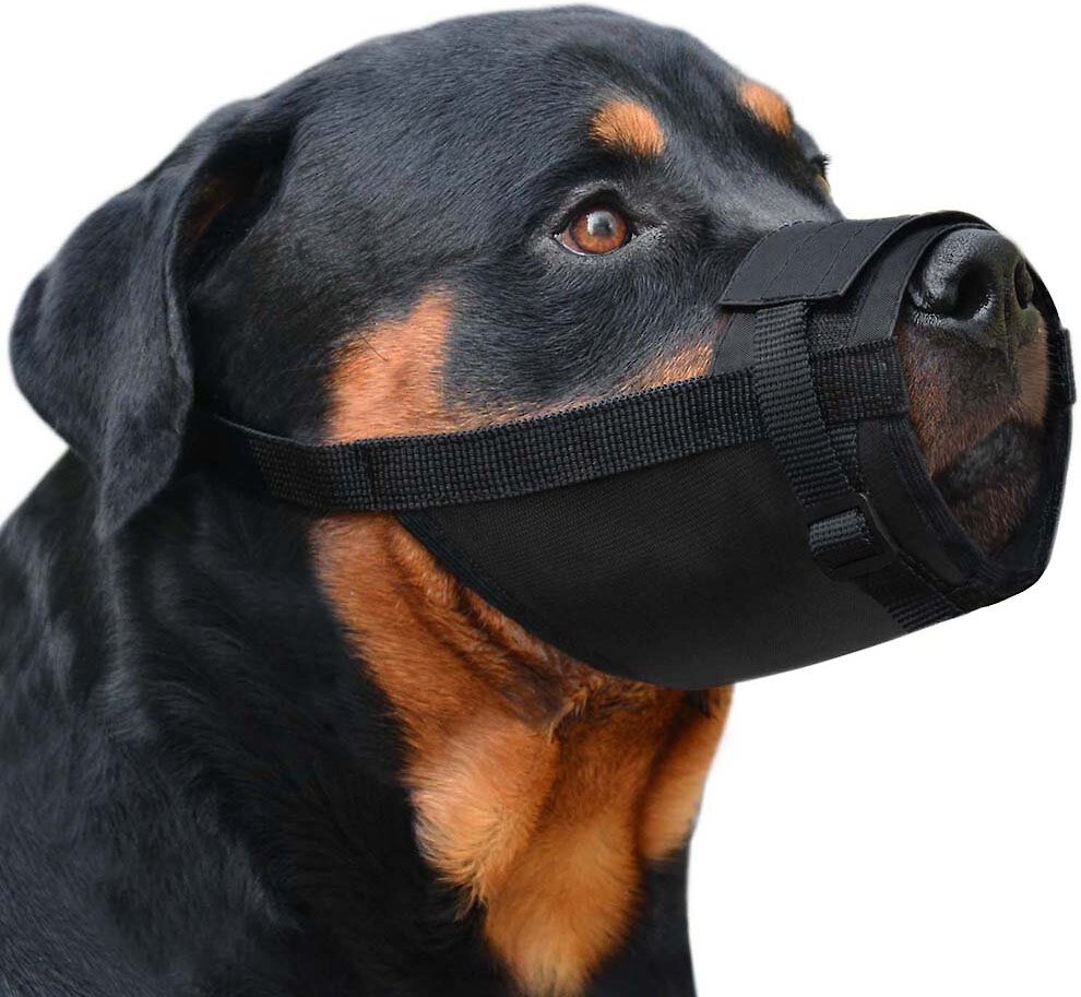 Chewy on sale dog muzzle