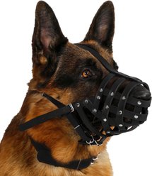 CollarDirect Leather German Shepherd & Doberman Dog Muzzle, Black, Medium