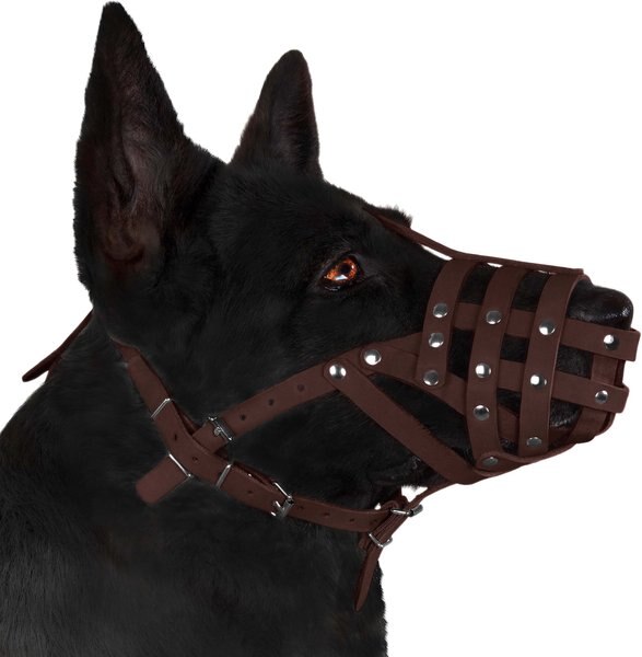 Discontinued COLLARDIRECT Leather German Shepherd & Doberman Dog