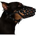 CollarDirect Leather Dog Muzzle for Dalmatian & Setter, Black, Large