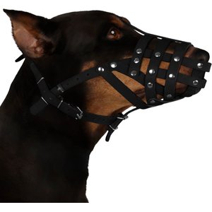 CollarDirect Leather Dog Muzzle for Dalmatian & Setter, Black, Large