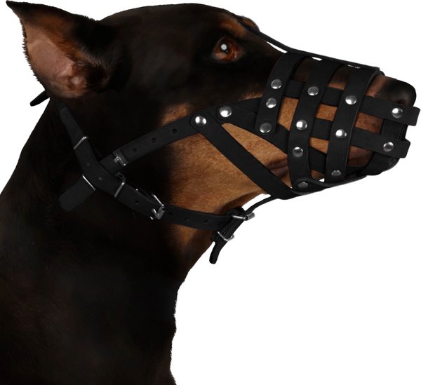 CollarDirect Leather Dog Muzzle for Dalmatian & Setter, Black, Medium slide 1 of 2